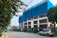 Dự án The Fibonan