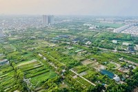 Đề xuất gia hạn thời hạn nộp thuế và tiền thuê đất năm 2025