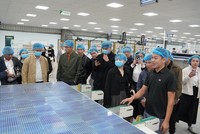 Ban lãnh đạo Damsan giới thiệu và cập nhật tình hình kinh doanh 9 tháng đầu năm 2025