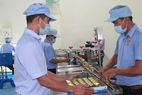 Hoạt động sản xuất kinh doanh chính của công ty là chế biến các sản phẩm nước yến sào Khánh Hòa đóng lọ mang thương hiệu Sanest