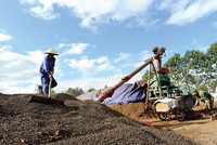 Ngành hàng nông sản xuất siêu 7 tỷ USD, vẫn... kém vui