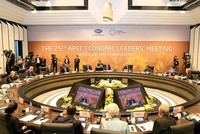 Hội nghị Các nhà lãnh đạo Kinh tế APEC lần thứ 25. Ảnh: TTXVN