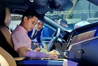 Ảnh chỉ có tính minh họa. (Ảnh: Thế Anh/TTXVN)