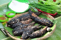 Cá trèo đồi: Đặc sản tiến vua quý hiếm đất Ninh Bình