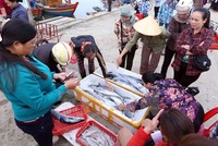 Hoạt động mua bán hải sản ở cảng cá Cửa Sót, xã Thạc Kim, huyện Lộc Hà, Hà Tĩnh