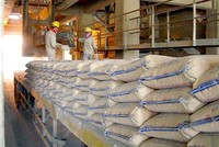 Góp công lớn trong việc đưa xuất khẩu xi măng về đích trước hẹn là những doanh nghiệp quy mô lớn như Vicem, The Vissai, Thăng Long, Nghi Sơn…