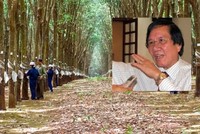 Cựu lãnh đạo bị khởi tố, Cao su Đồng Nai hủy thương vụ đấu giá chục tỷ