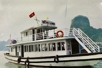 Tàu Hồng Long bị đình chỉ hoạt động 30 ngày.