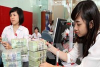 Ảnh minh họa. (Nguồn: TTXVN)