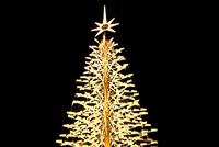 Đà Nẵng thắp sáng cây thông Noel cao nhất Việt Nam