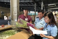 Công chức hải quan sân bay quốc tế Tân Sơn Nhất kiểm tra hàng NK. Ảnh: T.H