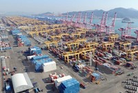 Cảng hàng hóa của tập đoàn vận tải Hanjin ở thành phố Busan, Hàn Quốc ngày 3/2. (Nguồn: AFP/TTXVN)