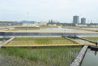 Nhà máy của Formosa tại Khu kinh tế Vũng Áng (Hà Tĩnh). Ảnh: Quang Hiếu