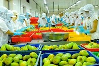 Xoay trục với mặt hàng chủ lực giúp ngành nông nghiệp thu về thành công lớn.