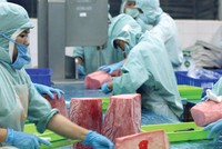 Xuất khẩu ước đạt trên 213 tỷ USD trong năm 2017, trong đó xuất khẩu nông, lâm, thủy sản hơn 36 tỷ USD, cho thấy nền kinh tế Việt Nam đang dần trở thành một phần quan trọng trong chuỗi giá trị toàn cầu.