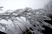 Băng tuyết xuất hiện tại vùng cao của Lào Cai