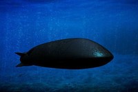 Nga được cho là đang phát triển vũ khí dưới nước cực mạnh. (Ảnh minh họa: Dailymail)