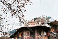 Ảnh đẹp về Hà Nội tháng 1 trên Instagram