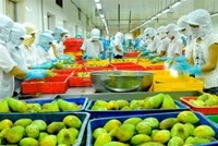 Ngành hàng rau quả tiếp tục đóng góp đáng kể vào tăng trưởng xuất khẩu của ngành nông nghiệp, với giá trị xuất khẩu trong tháng đầu tiên năm 2018 lên tới 320 triệu USD.