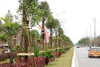 Dải thảm cỏ, cây xanh phân cách giữa đường Phạm Văn Đồng được đầu tư hơn 8 tỷ đồng trồng 1.045 cây long não. Ảnh: Giang Chinh