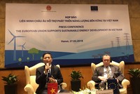 Chương trình hỗ trợ chính sách ngành năng lượng trị giá 108 triệu USD của EU nhằm tăng cường tiếp cận năng lượng bền vững cho khu vực nông thôn Việt Nam và góp phần xây dựng một ngành năng lượng bền vững hơn qua việc khuyến khích hiệu quả năng lượng, năng lượng sạch và tái tạo đến toàn dân.