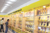 Thế giới Di động đã đón đầu xu thế của thị trường điện thoại tại Việt Nam để đầu tư mạnh và phát triển. Ảnh: Đức Thanh