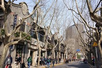 Lý do bạn nên đến Thượng Hải mùa xuân