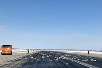 3,4 tấn vàng rơi khỏi máy bay vì cửa mở