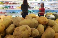 Trong khi tại vườn mỗi kg khoai tây được gom mua 3.000 - 4.000 đồng một kg thì giá tại siêu thị 18.000 - 20.000 đồng. Ảnh: H.T