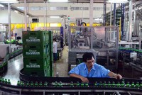 Sau kiểm toán, lợi nhuận sau thuế của Sabeco “bốc hơi” 78 tỷ đồng