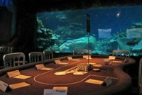 Bể cá cảnh khổng lồ trong một sòng bạc. Ảnh: Casinohire.