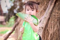 Cánh đồng sen 5 ha nở rộ giữa nắng hạn Ninh Thuận