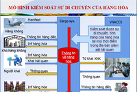 Tiết kiệm 27 phút/lô hàng nhờ hệ thống quản lý, giám sát tự động đường hàng không