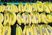 Chuối trong cửa hàng của Trader Joe's đã có giá 19 cent từ năm 1999. Ảnh: BI