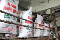 Sản xuất phân ure tại Nhà máy Đạm Ninh Bình. Ảnh: Anh Tú