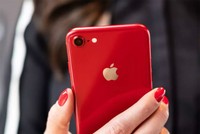 iPhone 8 và 8 Plus màu đỏ còn được quan tâm ít hơn iPhone 7, 7 Plus năm ngoái.