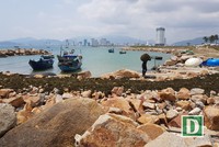 Dự án Nha Trang Sao (TP Nha Trang) từng bị xử phạt vì lấp danh thắng quốc gia Vịnh Nha Trang