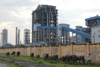 Nhà máy Đạm Ninh Bình vẫn đang trong tình trạng thua lỗ nghiêm trọng