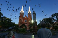 Hơn 700 con bồ câu bay lượn trước nhà thờ Đức Bà