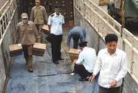 Các quy định lỗi thời trong kiểm tra chuyên ngành với hàng hóa nhập khẩu đang lấy đi của doanh nghiệp nhiều triệu ngày công mỗi năm. Ảnh: Đức Thanh