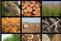 Các phụ phẩm nông nghiệp sẽ là nguyên liệu đầu vào của công nghệ xử lý rác. 