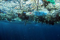 Địa Trung Hải bị ô nhiễm nghiêm trọng bởi rác thải nhựa. Ảnh: NOAA.