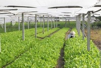 Tạo động lực từ chính sách đất đai