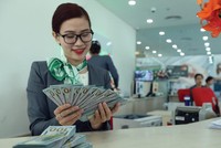 Nhiều tổ chức tín dụng đang cho vay ngoại tệ với lãi suất 2%/năm. Ảnh: Đức Thanh.