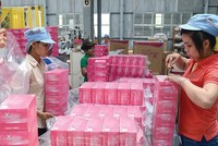 Khối ngoại đang chiếm ưu thế trong ngành sản xuất giấy tiêu dùng tại Việt Nam. Ảnh: Đức Thanh.