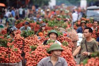 Việc tìm kiếm, phát triển thị trường xuất khẩu mới là một giải pháp quan trọng để ứng phó với thách thức của chủ nghĩa bảo hộ mậu dịch hiện nay. Ảnh: Đức Thanh.