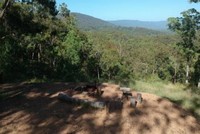 Khu vườn rộng 16,5 ha phía sau nhà  - Ảnh: News.com.au.