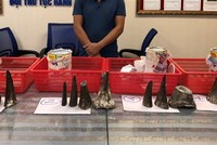 Số sừng tê giác bị bắt giữ. Ảnh: Báo Hải quan.