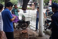 Cây sưa đỏ bị cưa trong đêm mưa.