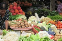 Giá rau tăng mạnh. Ảnh: Hồng Châu.